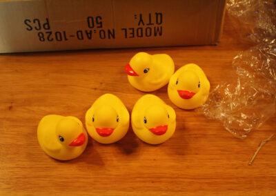 5 ducks