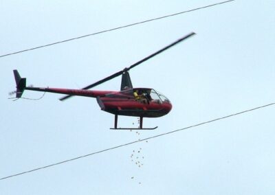 helicopter dropping the ducks