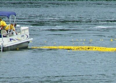 boat gathering ducks